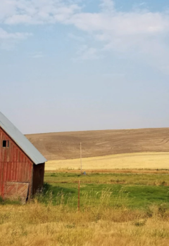 Behavioral Health is a Major Issue in Rural America